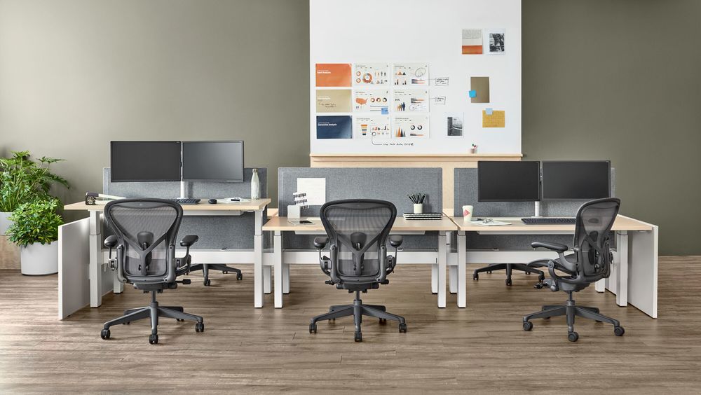 Drei schwarze Herman Miller Aeron Bürostühle vor Schreibtischen in einem modernen Open-Office-Arbeitsbereich mit hölzernem Fußboden, begleitet von lebendigen Pflanzen und kreativen Inspirationsboards an der Wand.